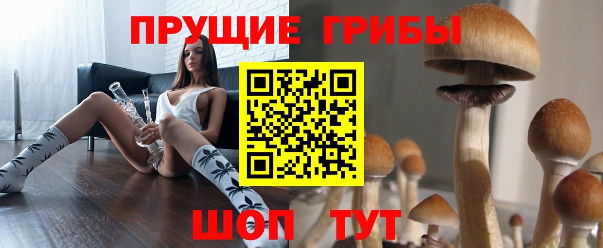 Псилоцибиновые грибы мухоморы  Псилоцибиновые грибы прущие грибы  Вход с VPN  Черняховск 